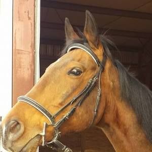 Meet your Posher, Stacy